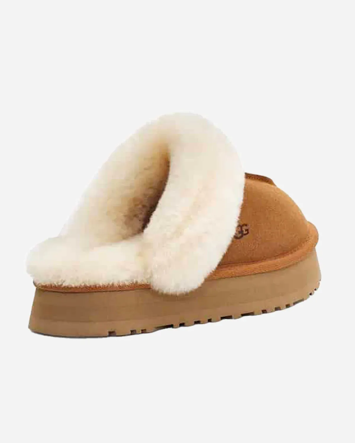 Disquette Chestnut – Image 2