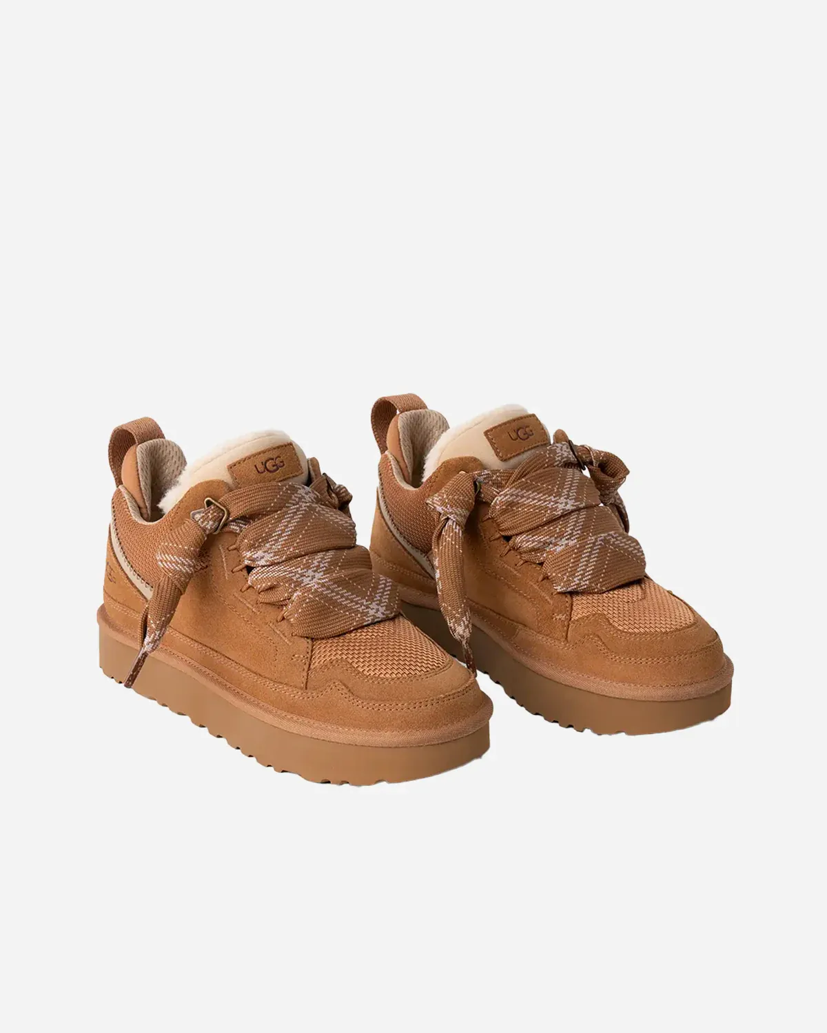 Lowmel Chestnut – Image 3