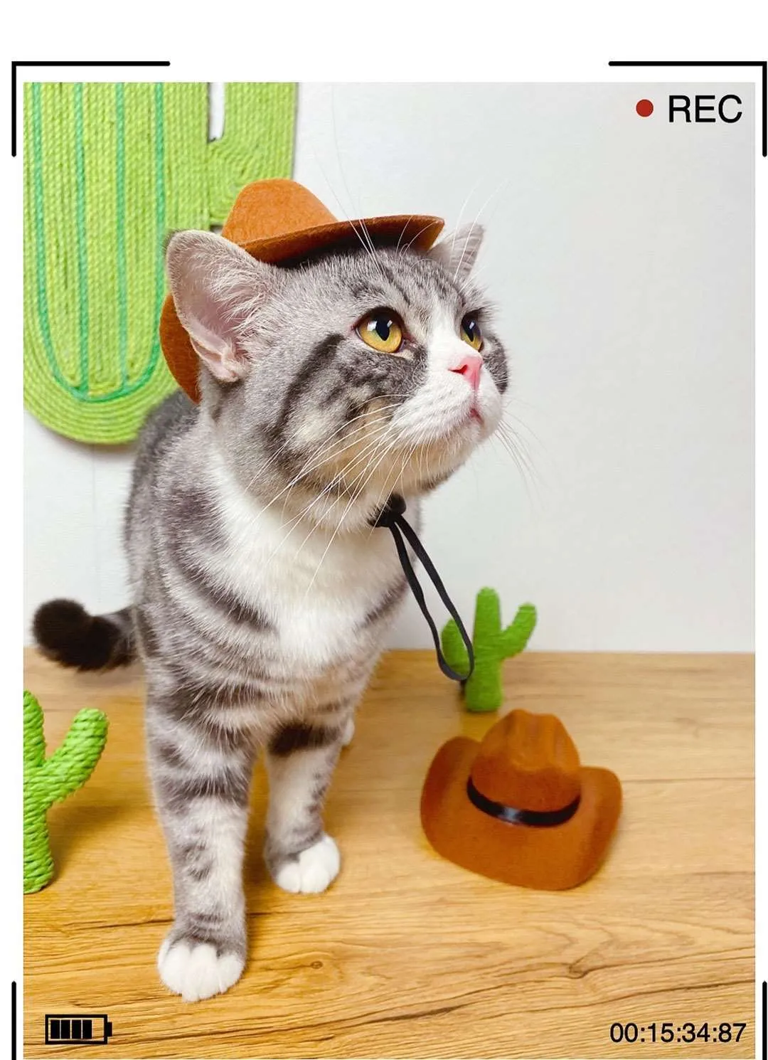 Chapeau de Cowboy pour chat + bandana – Image 7