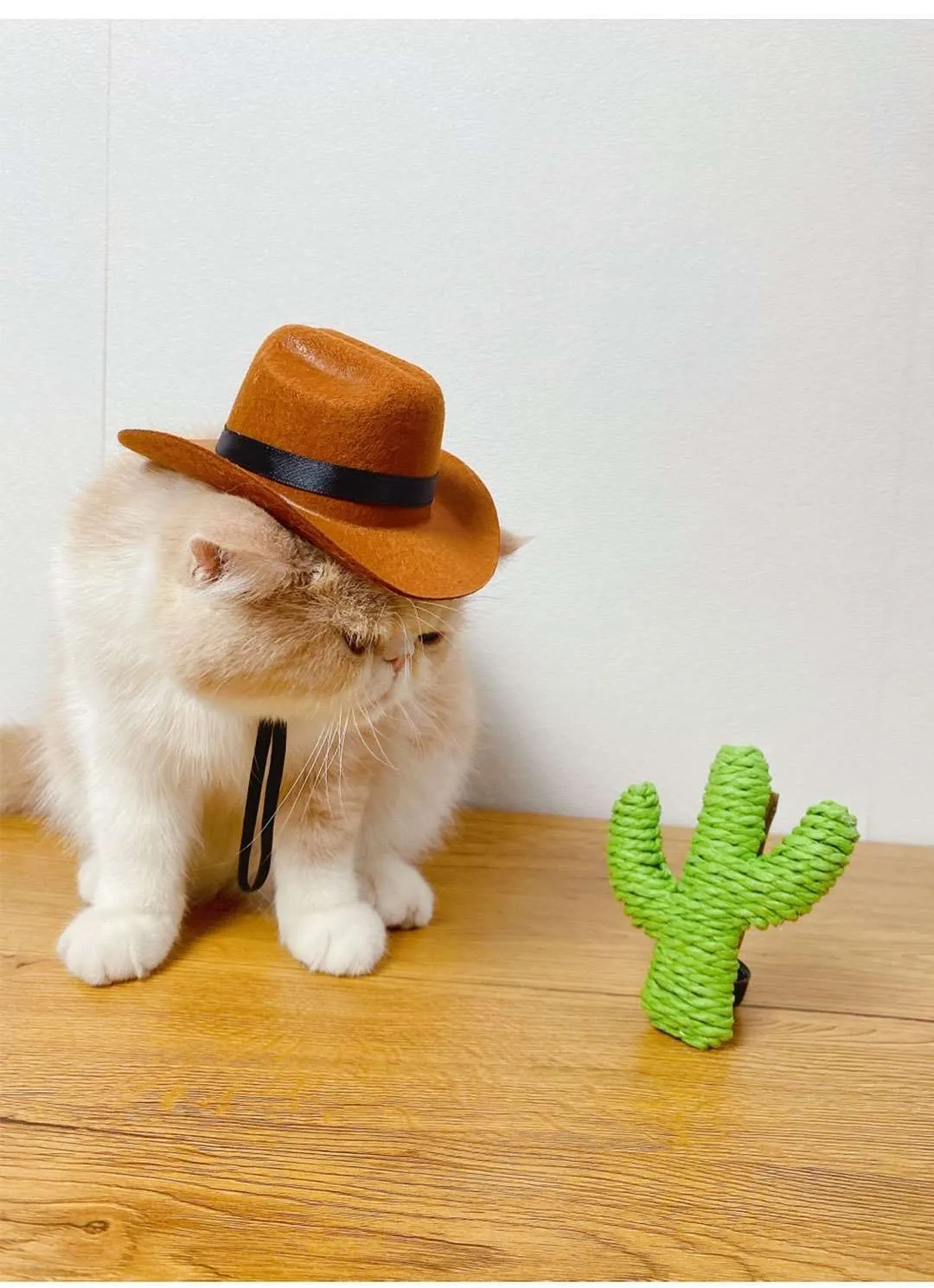 Chapeau de Cowboy pour chat + bandana – Image 6