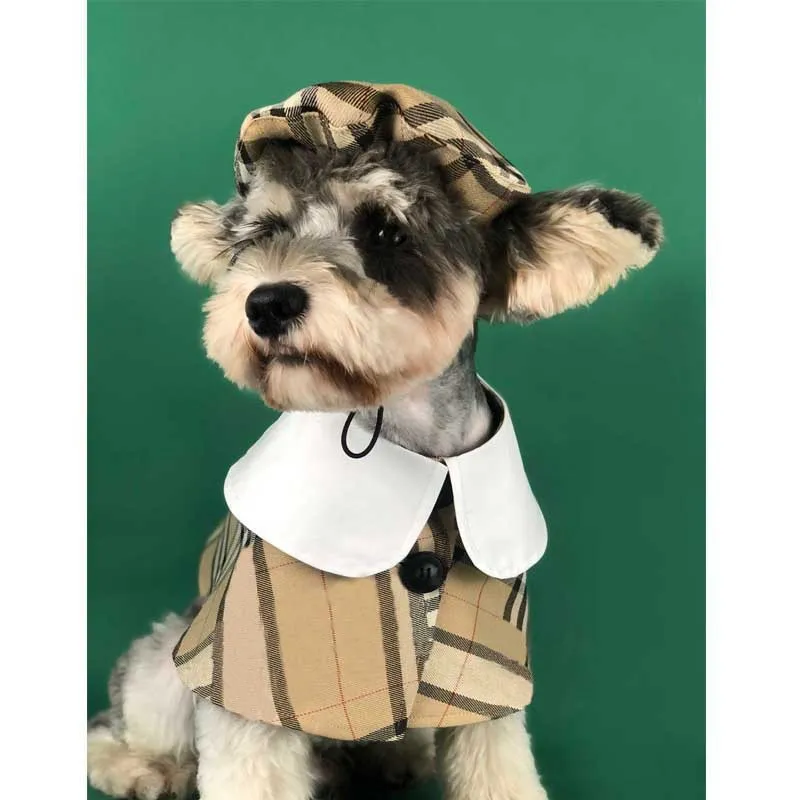 Chapeau et cape bavoir de luxe à carreaux écossais pour chien – Image 2