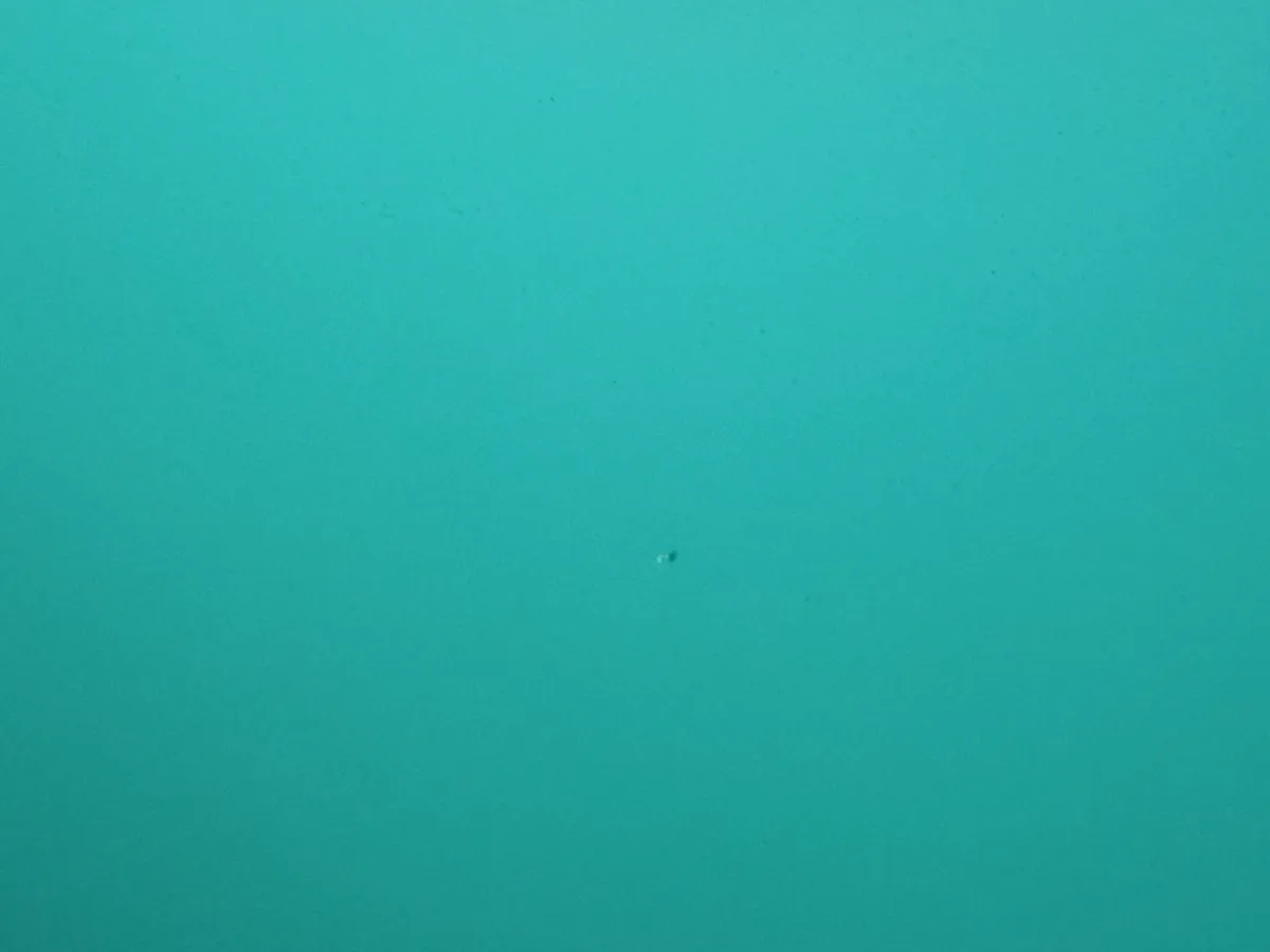 Tableau Lintex en verre vertical L120 x H200 – OCCASION – Image 8