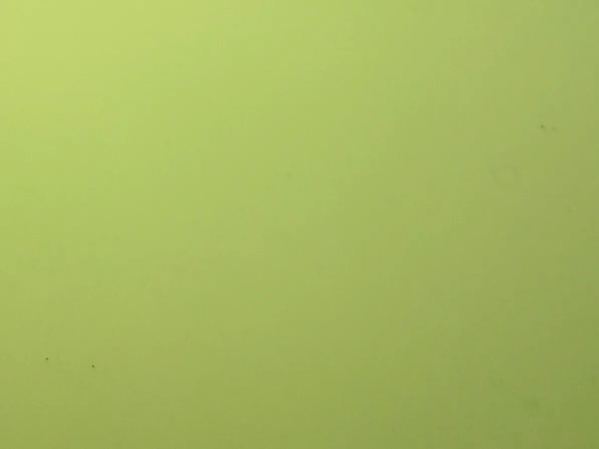 Tableau Lintex en verre vertical L120 x H200 – OCCASION – Image 9